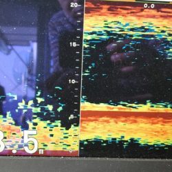 遊漁船 ニライカナイ 釣果