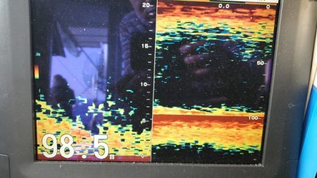 遊漁船 ニライカナイ 釣果