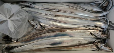 遊漁船 ニライカナイ 釣果