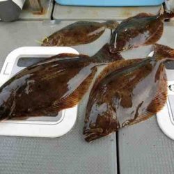 遊漁船 セトマリン 釣果