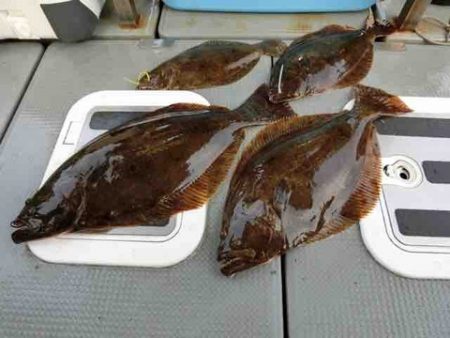 遊漁船 セトマリン 釣果