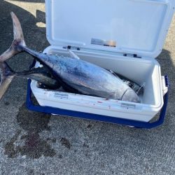 へいみつ丸 釣果