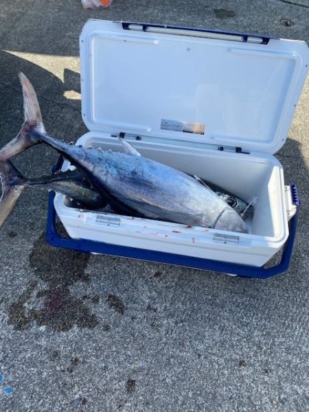 へいみつ丸 釣果