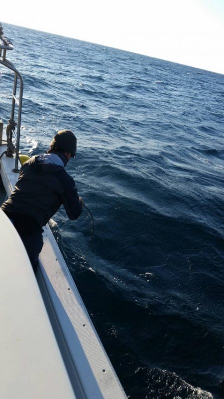 第五慶門丸 釣果