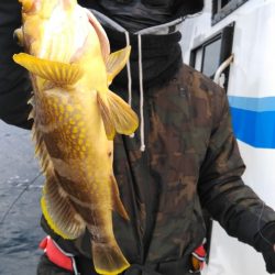 遊漁船 新鋭丸 釣果