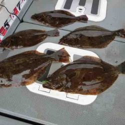 遊漁船 セトマリン 釣果