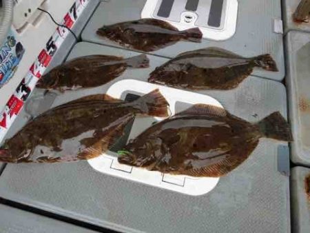 遊漁船 セトマリン 釣果