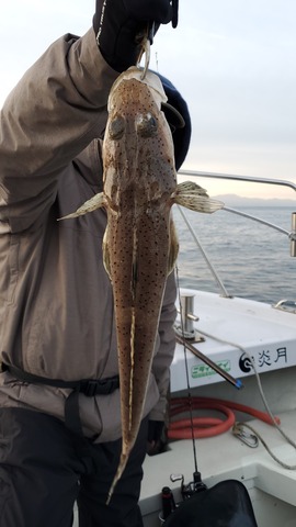 遊漁船　ニライカナイ 釣果