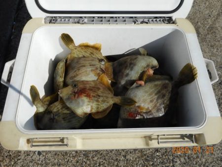 館山つりセンターくろしお丸 釣果