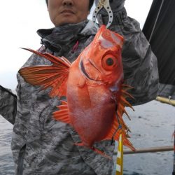 遊漁船 新鋭丸 釣果