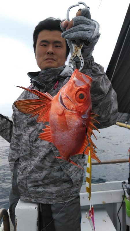 遊漁船 新鋭丸 釣果