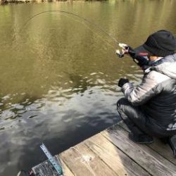 フィッシング サンクチュアリ 釣果