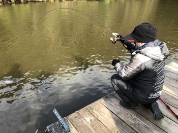 フィッシング サンクチュアリ 釣果