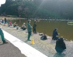 フィッシング サンクチュアリ 釣果