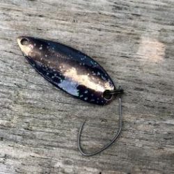 フィッシング サンクチュアリ 釣果