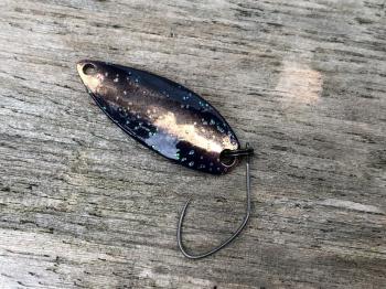 フィッシング サンクチュアリ 釣果