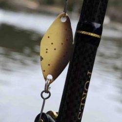 フィッシング サンクチュアリ 釣果