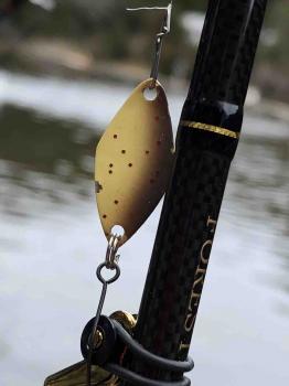 フィッシング サンクチュアリ 釣果