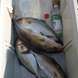 第五慶門丸 釣果