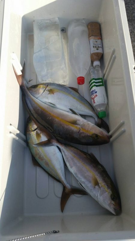 第五慶門丸 釣果