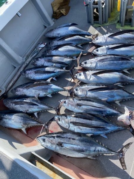 へいみつ丸 釣果