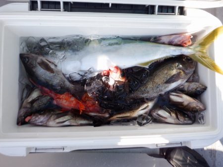 遊漁船 遊友 釣果