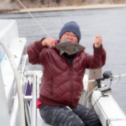 遊漁船 遊友 釣果