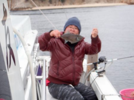 遊漁船 遊友 釣果