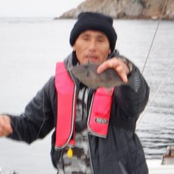 遊漁船 遊友 釣果