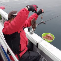 遊漁船 遊友 釣果