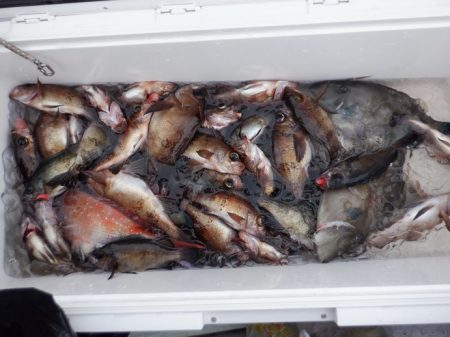 遊漁船 遊友 釣果