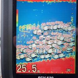 遊漁船 遊友 釣果