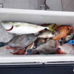 遊漁船 遊友 釣果