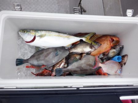 遊漁船 遊友 釣果