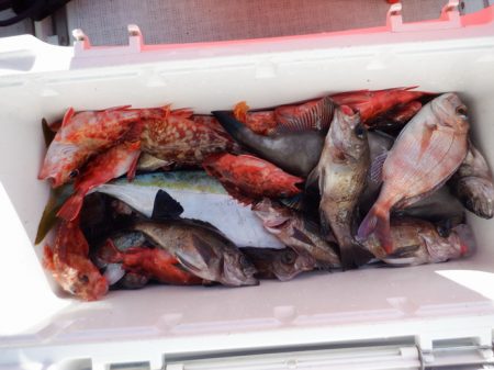 遊漁船 遊友 釣果