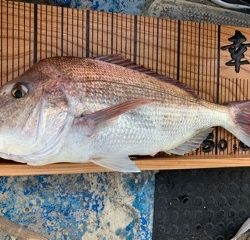 幸吉丸 釣果