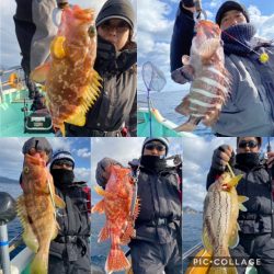 シードリーム 釣果