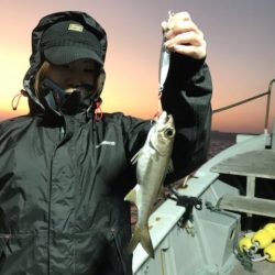 たいし丸 釣果