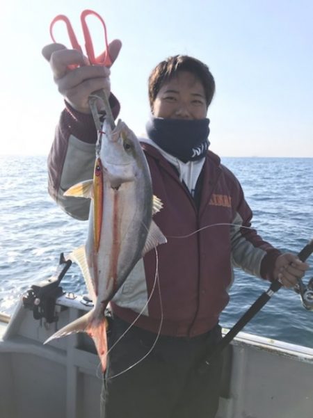 たいし丸 釣果
