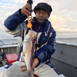 たいし丸 釣果