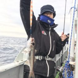たいし丸 釣果