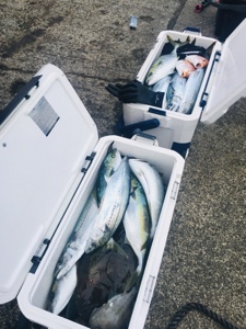 シーモンキー 釣果