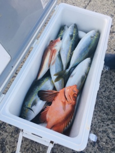 シーモンキー 釣果