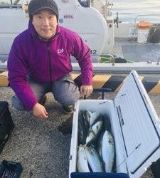 シーモンキー 釣果