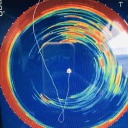 シーモンキー 釣果