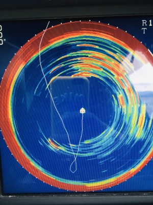 シーモンキー 釣果