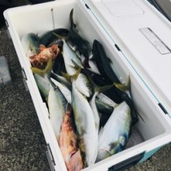 シーモンキー 釣果