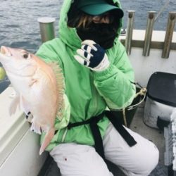 シーモンキー 釣果