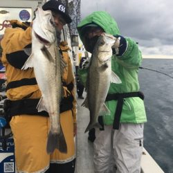 シーモンキー 釣果