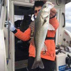 シーモンキー 釣果